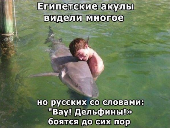 love_to_enemy - euroharmonia